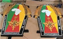 金色行政執(zhí)法徽章